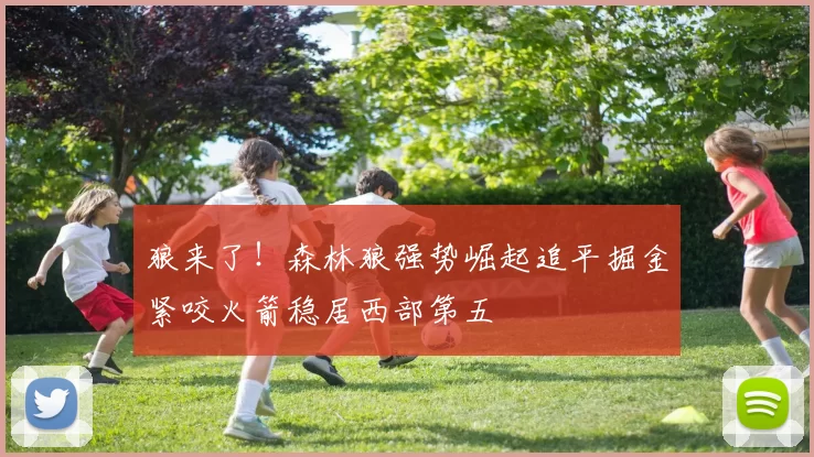 狼来了！森林狼强势崛起追平掘金紧咬火箭稳居西部第五