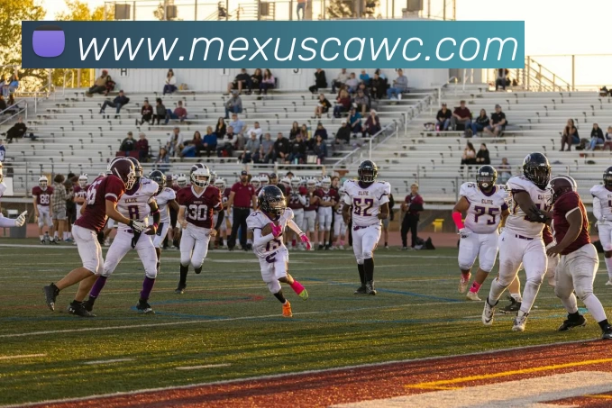必赢亚洲官网平台生态图